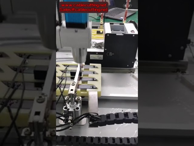 Dubbelstations servo skruvdragare med automatiskt matningssystem – Skruvåtdragningsrobot