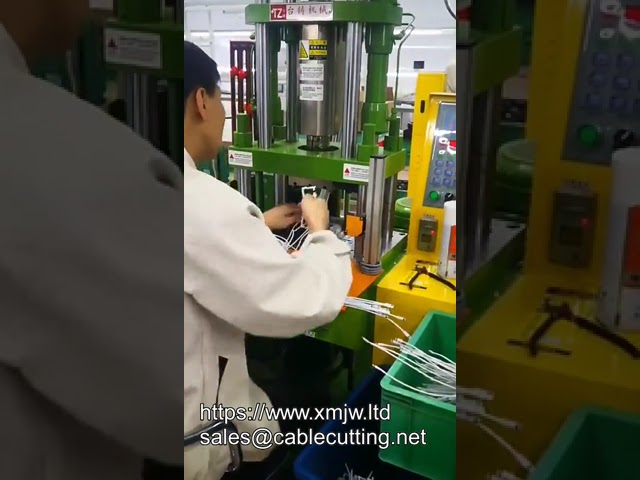250 tons vertikal formsprutningsmaskin för snabb PVC-kontakt övergjutning – kompakt och effektiv